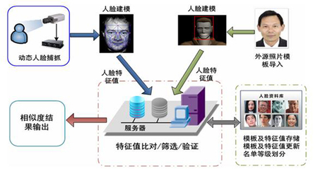 人口灵敏度_和平精英灵敏度图片(2)